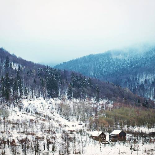 somewhere there #mountains #misty #clouds #cloudy #top #forest #snow #winter #wintertime #nature #tr