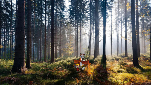 andreinandrea:Calvin and Hobbes vs Real LifeFotografo: Michael S. Den Beste.