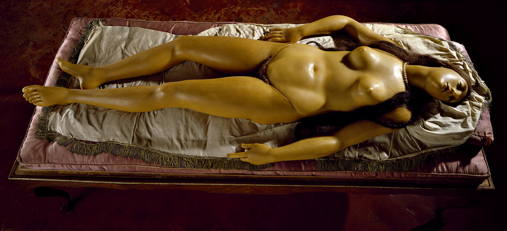 wunderkammerx:  Susini Clemente Venere de’ Medici, c. 1782 Modello in cera, Museo
