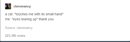 itsstuckyinmyhead:  The Cats of Tumblr 