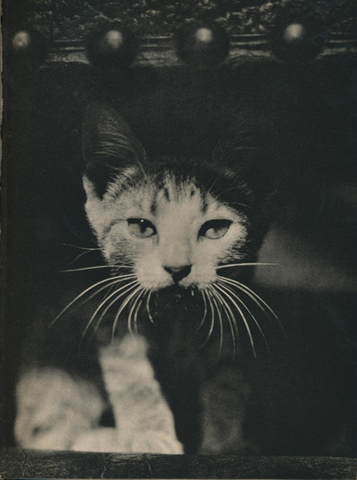 redlipstickresurrected:  Edward Quigley aka Edward W. Quigley (American, 1898–1977,