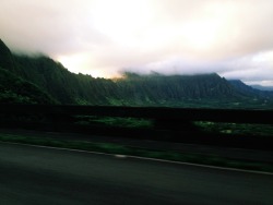 mauiw0w:  kaneohe