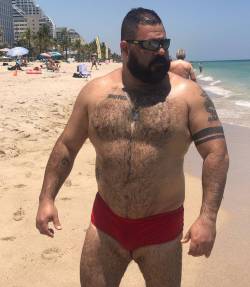 hairy-muc-bear:2021-01-30Saturday&rsquo;s Speedos Summer Bull Edition 