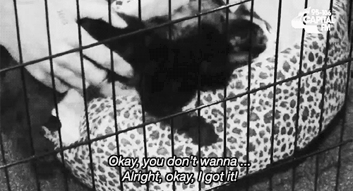 Okay.