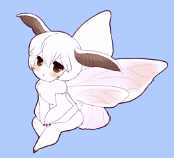 kalepika:  poodle moth boy he likes head