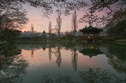 lovesouthkorea:   Sunset at Bomun Pavilion, Gyeongju (Source) 