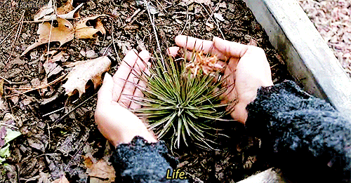 crack3dtheory:  Witches &amp; Nature.