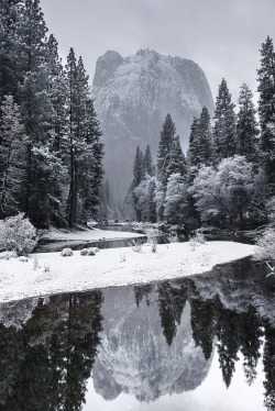 nature-planet:  Yosemite National Park Snowfall | Mike Mezeul II Photography) 