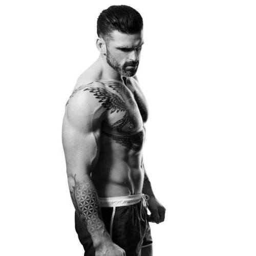 rapideyesmovement: Stuart Reardon