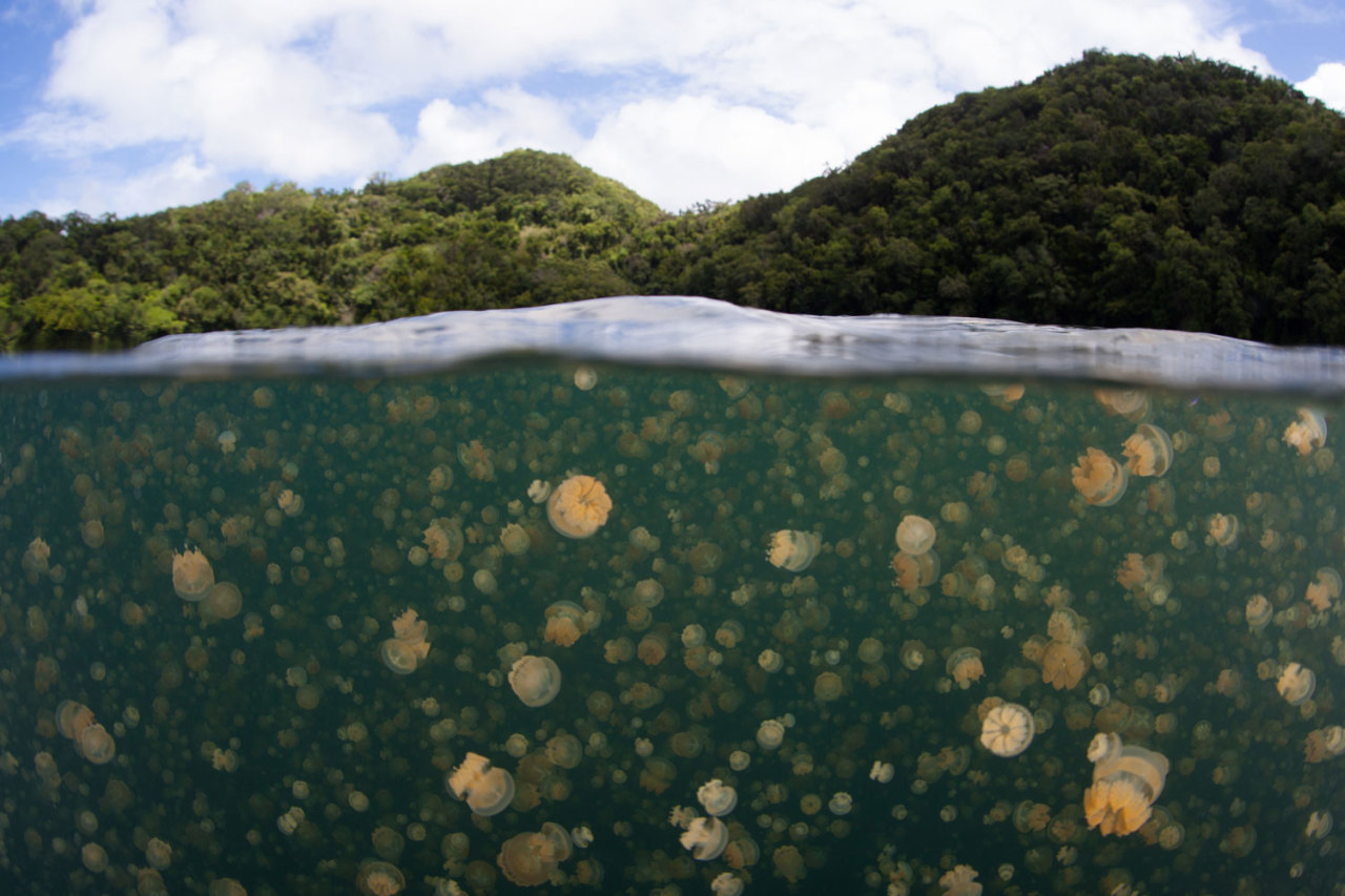 fromgrapevine:  9 of the world’s most extreme lakesCheck out the biggest, deepest
