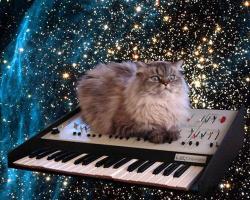 laurajansen:  I’m thinking album cover? friendshipbetweennations:       space cat       