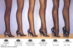 rook-takes-queen:  Heel training, every month the height of the