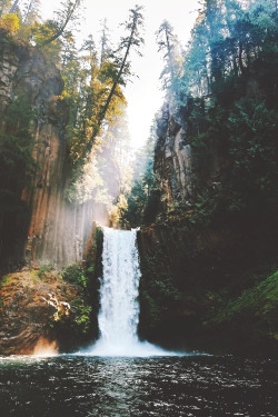 souhailbog:  Simple Beauty By   Nick Verbelchuk | More  