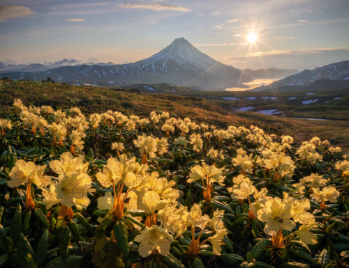 expressions-of-nature: Volcanoes of Kamchatka, Eastern Russia by Andrey Grachev