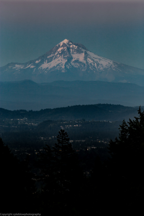 cpleblow:mt. hood | shot from council crestby cpleblow