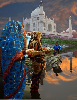 indiaincredible:  The Taj Mahal by Deba Prasad Roy 