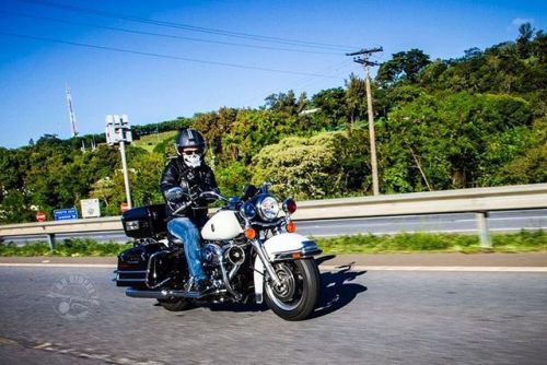 Road Pics #harleydavidson #harley #harleycustom #harleydavidsonmotorcycles #harleysofinstagram #harl