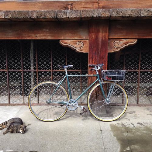 thebicycletree:  #チャリ #自転車 #散歩 #寺 #cycling #tokyo #japan #cargobike #nicebike #vogue #temple #shrine