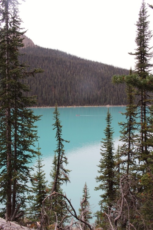 matchbox-mouse: Lake Louise. 