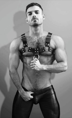 Nipples and harness