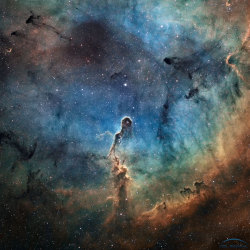 just&ndash;space:  The Elephant’s Trunk in IC 1396  : Like an illustration in a galactic Just So Story, the Elephant’s Trunk Nebula winds through the emission nebula and young star cluster complex IC 1396, in the high and far off constellation of