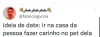 seu-bobo-da-corte: