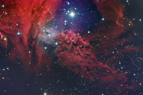 The Fox Fur Nebula [3074 × 2058]