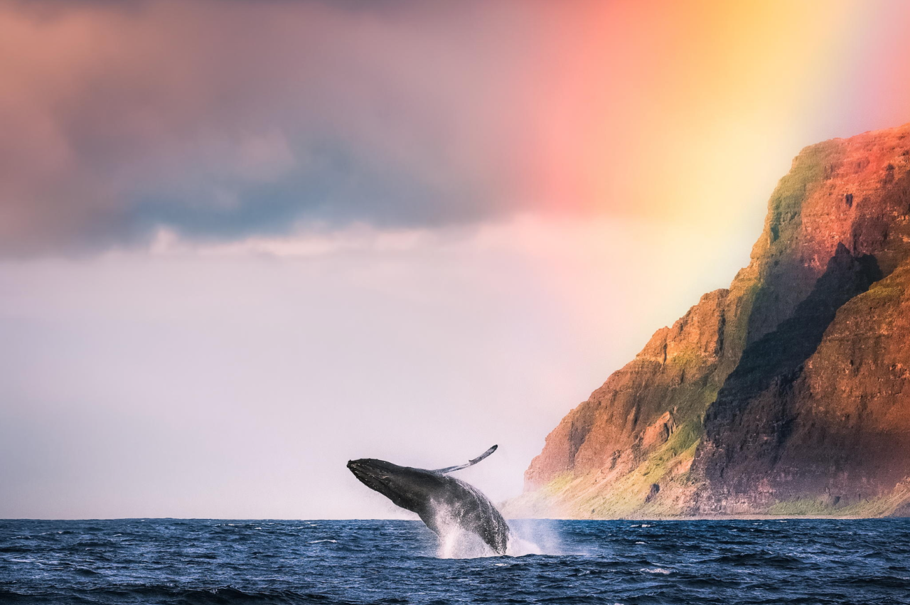nubbsgalore:  photos by mark gvazdinskas from kauai’s na pali coast