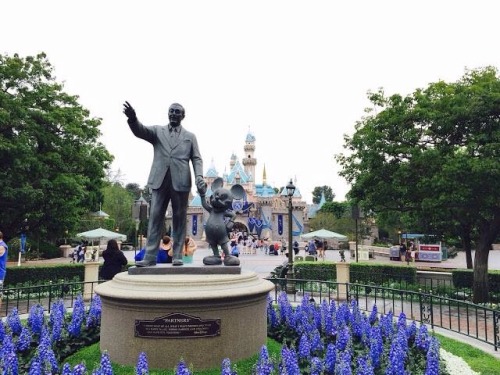 thelifeofabbey:  Favourite pictures from my trip to Disneyland this year ❤️