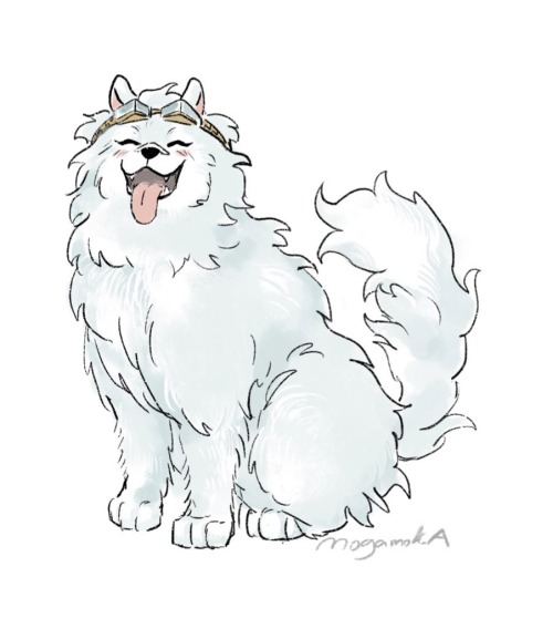 Samoyed!Shirakumo