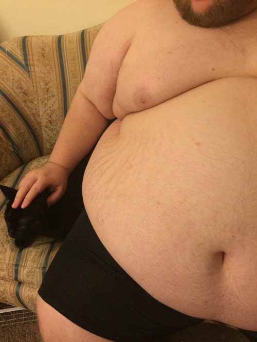 Porn fatbestfriend:  Cats love fats it’s science. photos