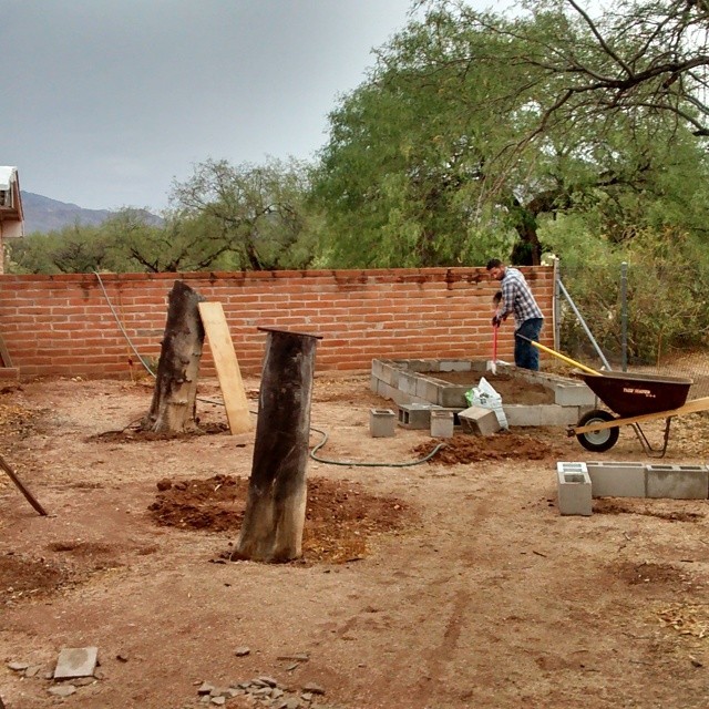 The #garden is happening! Can u believe..you have to buy dirt in the #desert