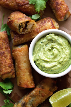 do-not-touch-my-food:  Southwestern Egg Rolls