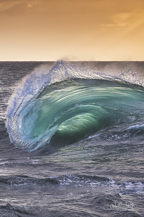 visualechoess: MORPHLING - by: William Patino