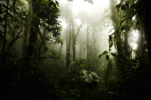 thisiswander:  Jonah ReendersMarquette, MICanon EOS 5D Mark IITell us about The Wandering Project. How did it come about, and did you achieve everything you wanted to?The Wandering Project was an idea that came about after the trip was finished. I knew