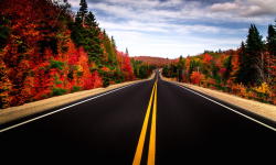 travelingcolors:   Hwy #60, Algonquin | Canada