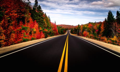 travelingcolors:   Hwy #60, Algonquin | Canada (by Imran Ashraf) 