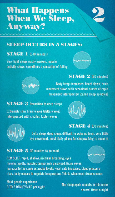 sagansense:   Dream On: Why Sleep is So Important  This infographic showcases some
