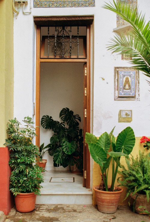 sevilla, noviembre 2019kodak gold 200nikon f90nikkor 28-85 f/3.5-4.5 af https://www.instagram.com/zm