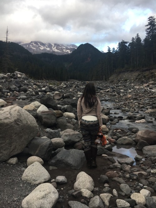 badlilblubunny:  Adventuring is one of my favorite pastimes. I was in Seattle a few weeks ago and had the opportunity to explore Mount Rainier a bit. “Twas absolutely breathtaking (and freezing!) 🏞🐰🦊