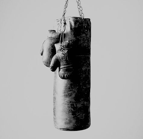 An image of grey boxing gloves hanging on a grey boxing bag