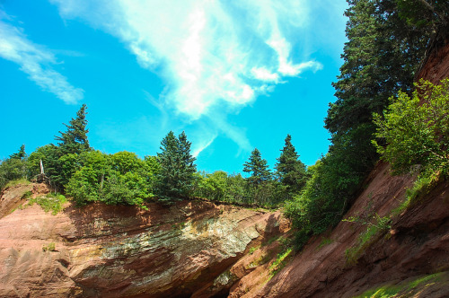 bay of fundy