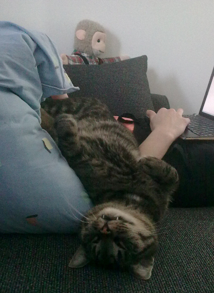 Being a Internet Assistant can be very tiring.
Photo by ©realblades