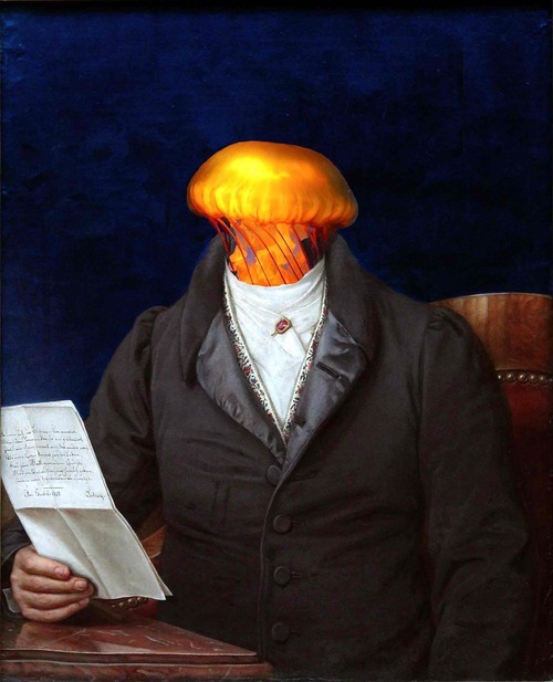 Kalle Die Qualle