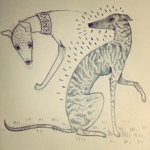 sketchin’ greyhounds