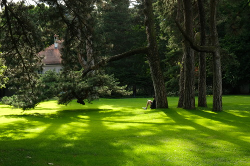 A break in the park. Innsbruck, 2020. 