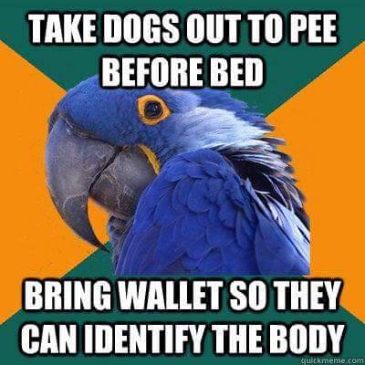 jackiereblogsthis: garbagepossum:  ithelpstodream:  paranoid parrot  Holy shit I normally ignore these memes but I literally do all of these things. The fact that this parrot knows me is making me nervous.  I’m a fucking paranoid parrot. 