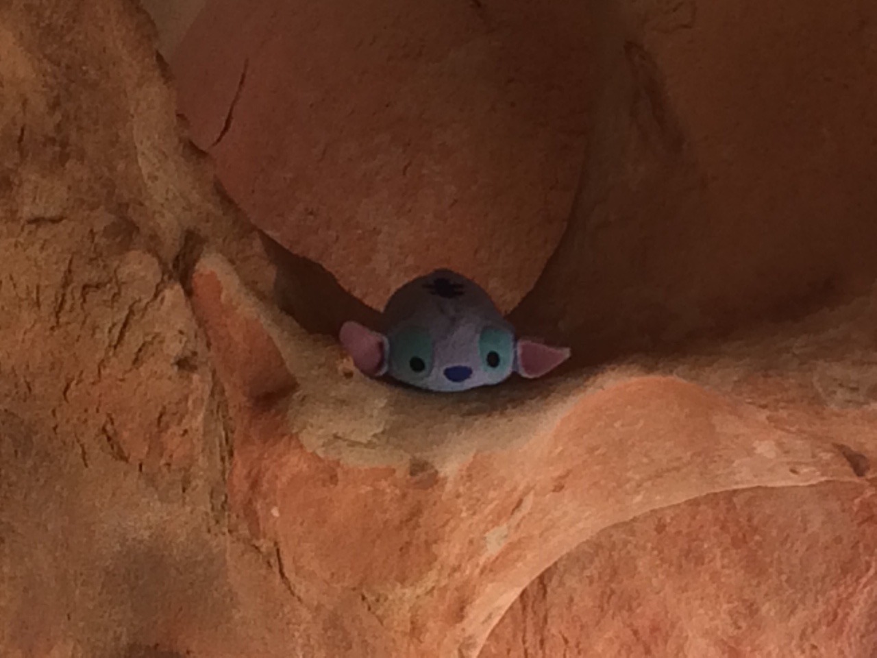 the-prodigalsun:  A long day of hikes and exploring, with even a Stitch-sized hotel!