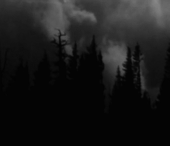 I'm Looking To Make An October Surprise! A Henry Stickmin Horror Special! An Interactive Horror In Which