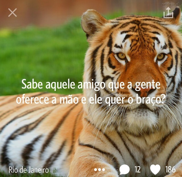 Terminar